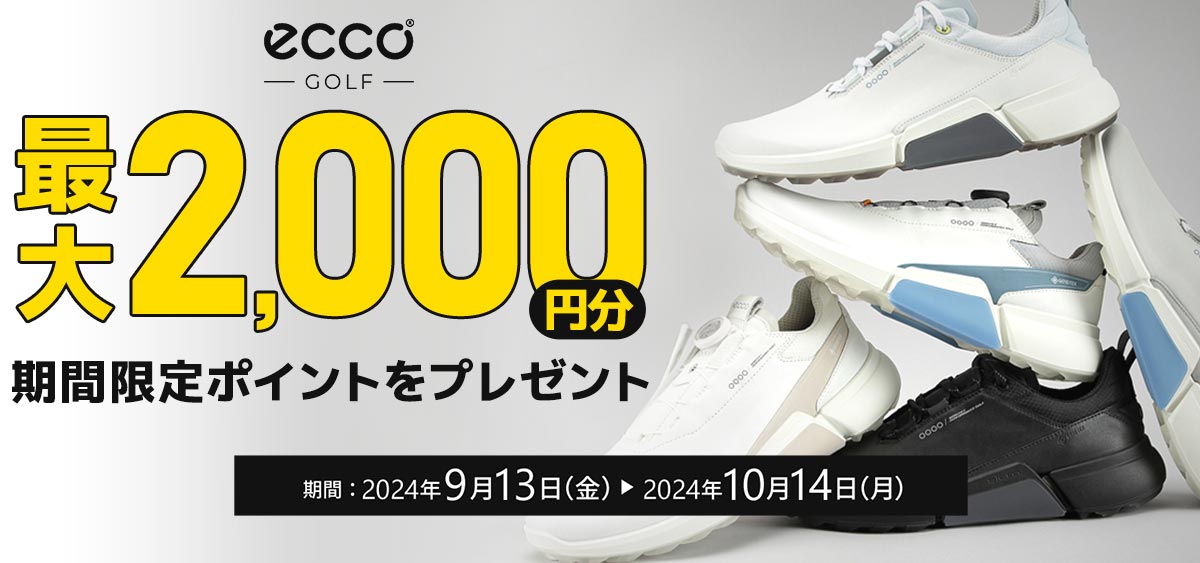 eccoシューズポイントキャンペーン