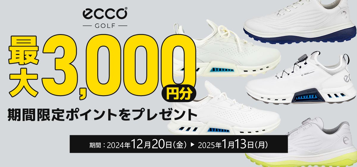 eccoシューズポイントプレゼント